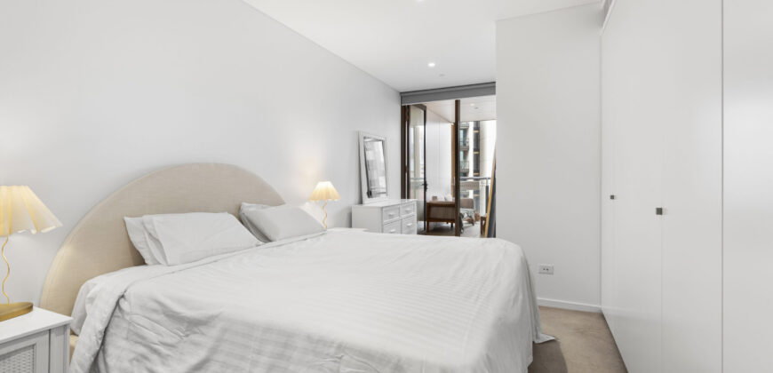 Cozy and Elegant Luxury Apartment, Fully Furnished