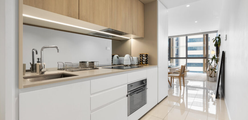 Cozy and Elegant Luxury Apartment, Fully Furnished